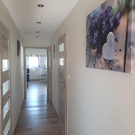 Apartment Bobo *