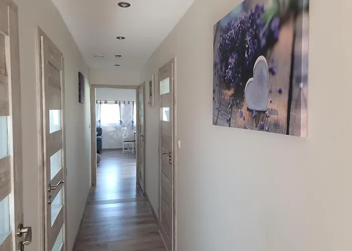 Апартаменты Bobo *