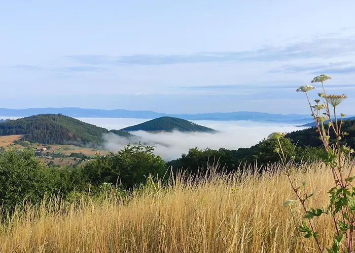 Апартаменты Bobo *